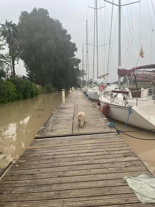 Atico Arriba Del Guadalquivir Apartment Gelves
